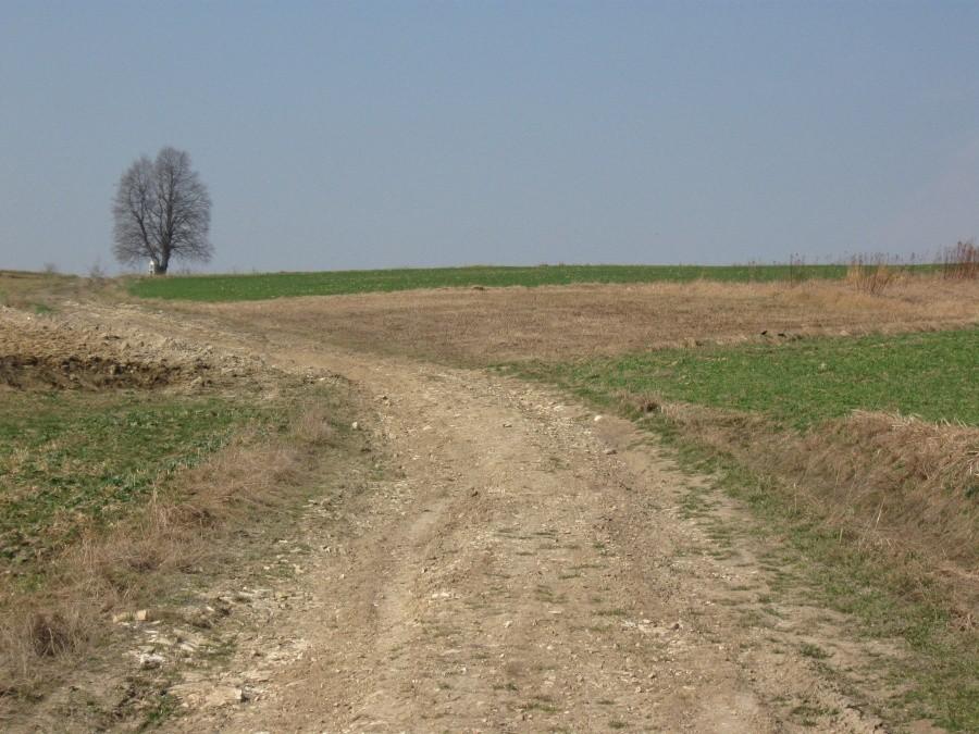 Na czerwonym szlaku.
