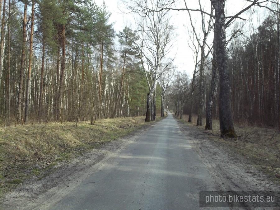 Droga Podzamcze - Bystrzec