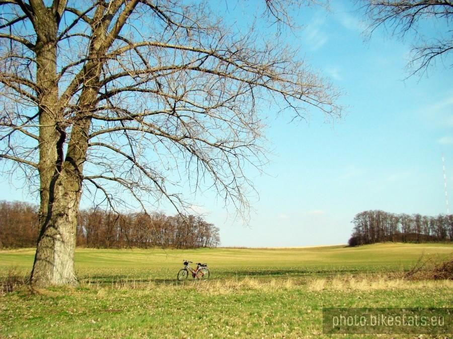 Trzeci dzień wiosny
