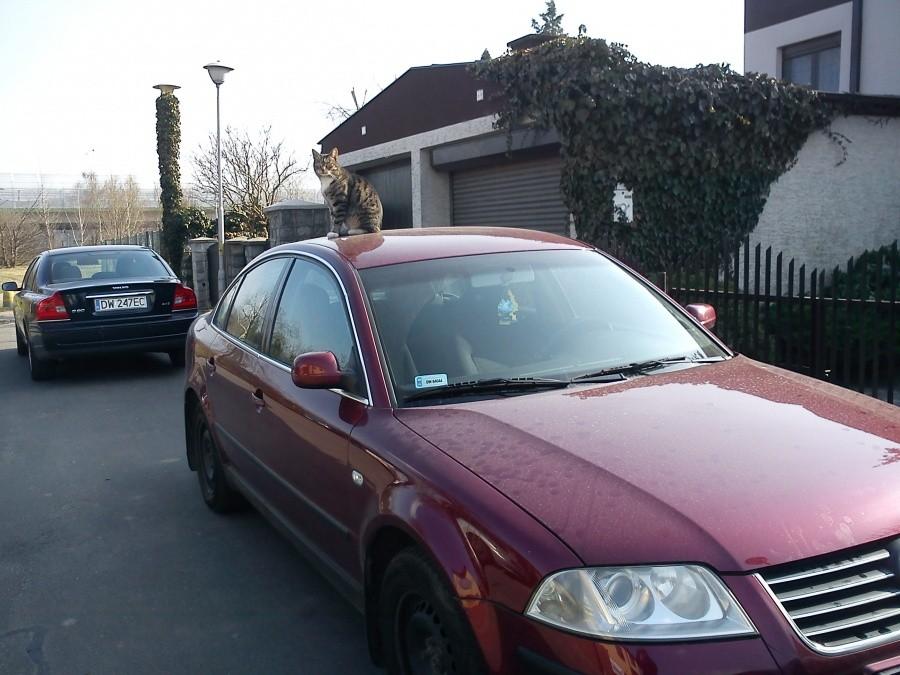 parking strzeżony