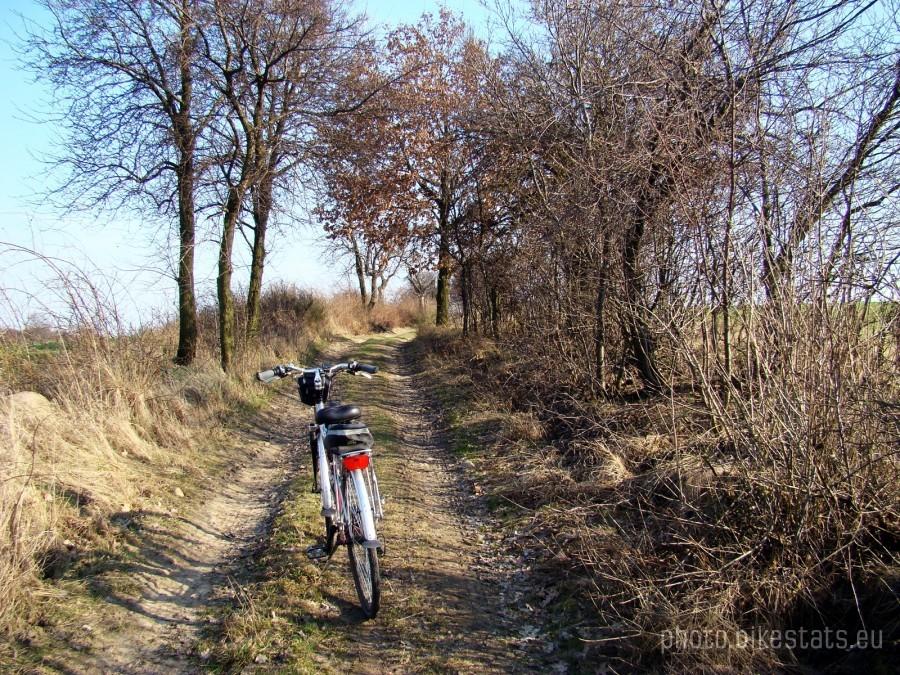 Polna droga między Bukwicą a Łagoszowem Małym.