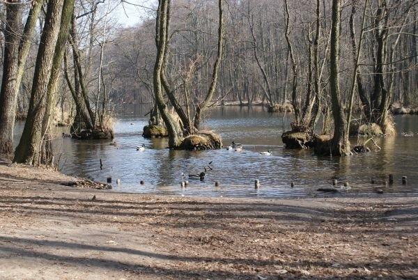 Rezerwat Niebieskie Źródła