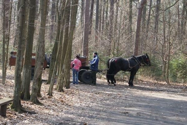 od parkingu do Ośrdoka jest 2,7 km, kto się nie czuje na siłach może podjechać bryczką, kursują w jedną i drugą stronę