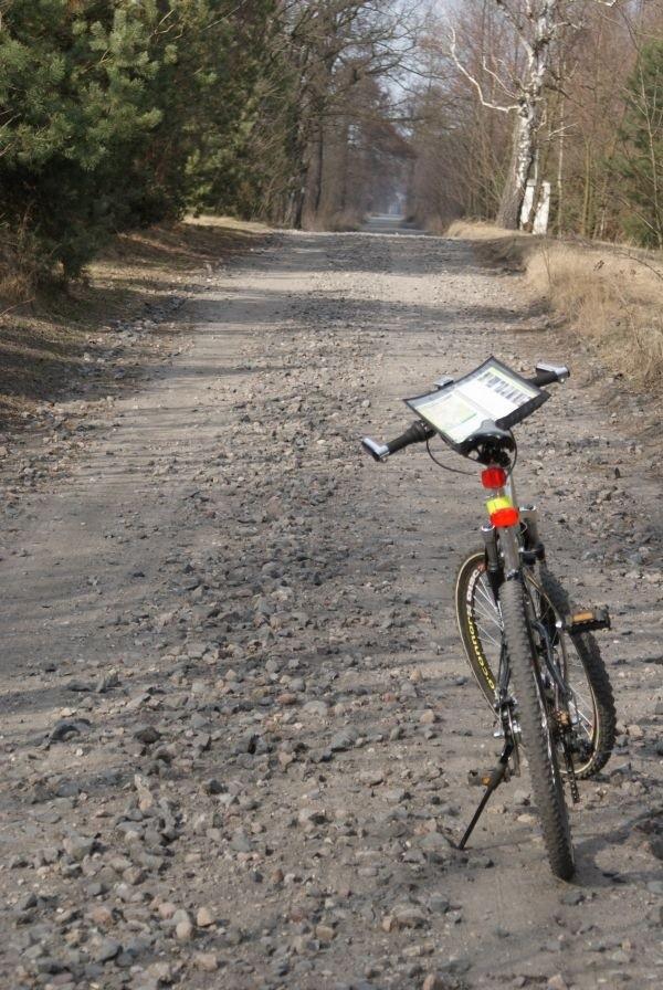 tak jak w życiu, raz po lodzie, raz po kłodzie