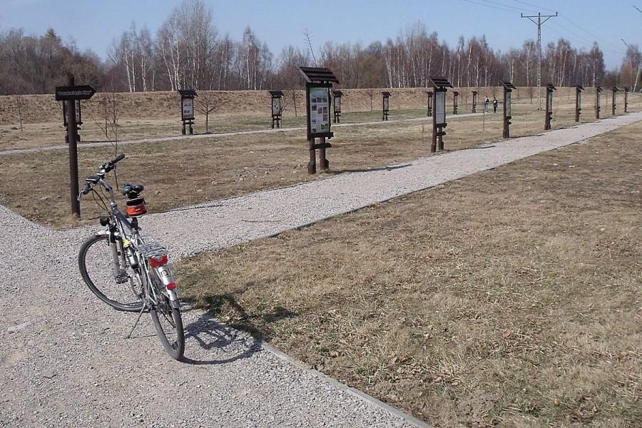 Park Lipowy w Kętach
