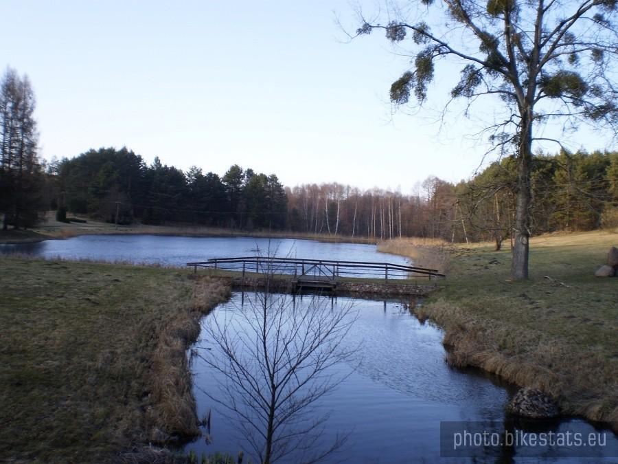 Arboretum Leśne