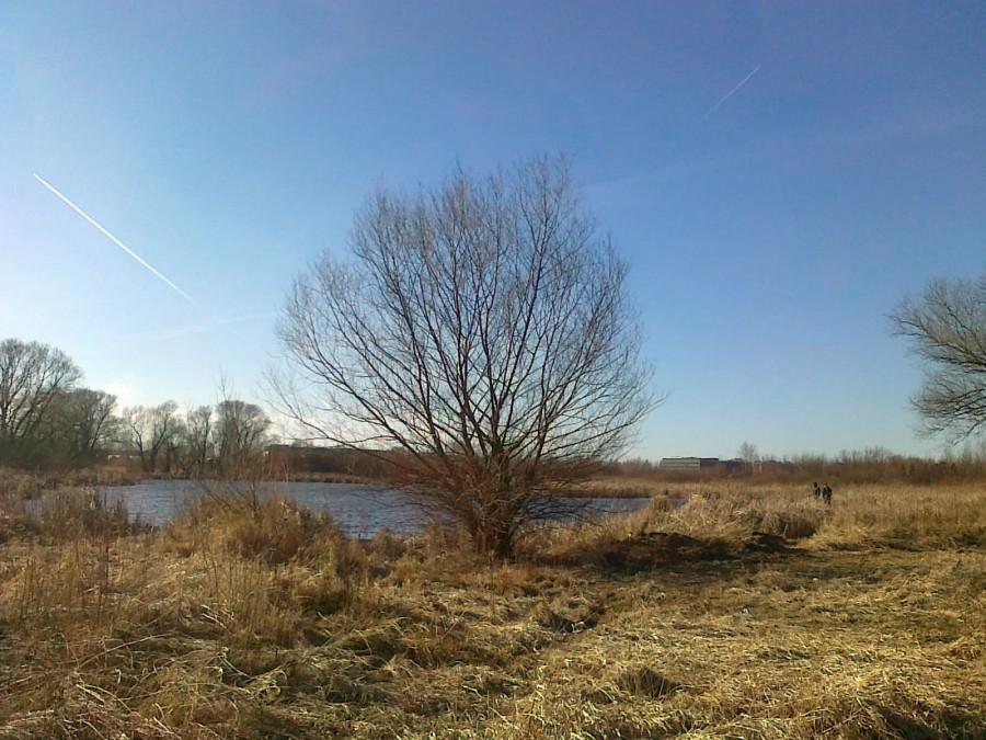 Jezioro Grabowskie