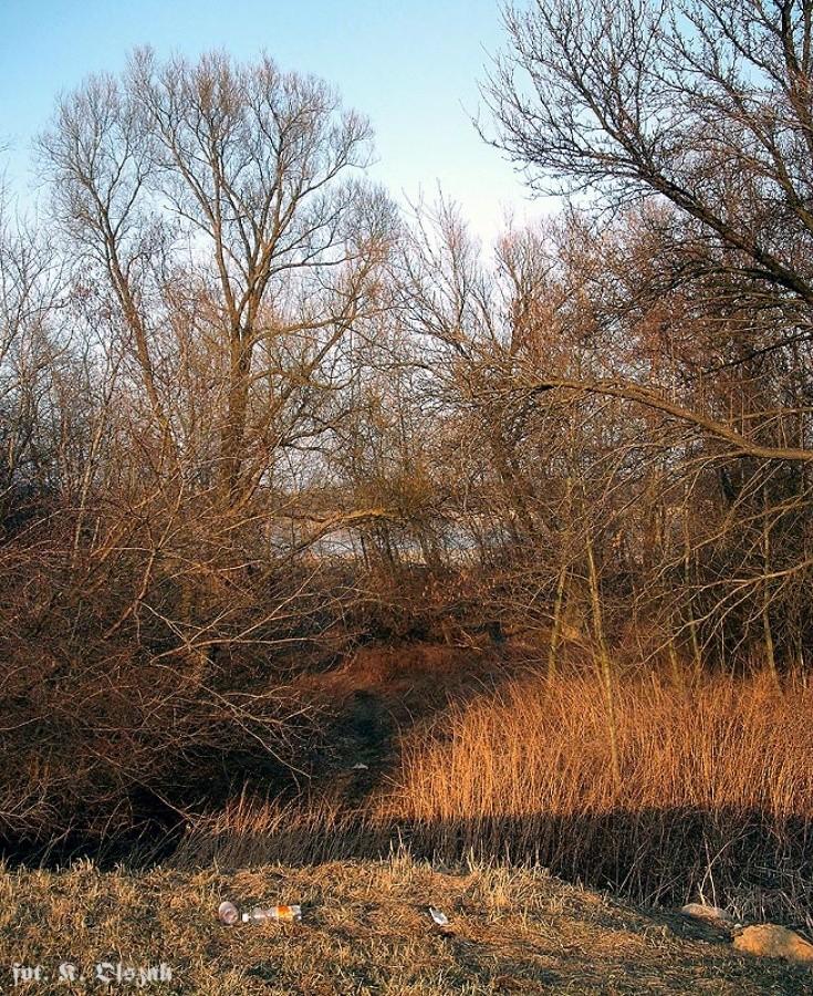 Tu był most (1)