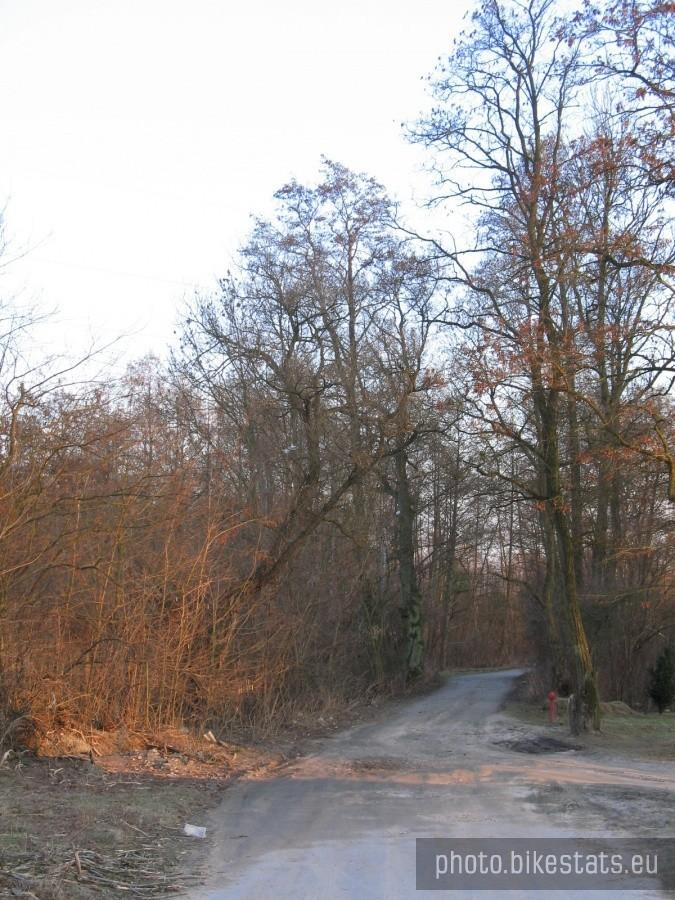 ulica Pałacowa- Wólka Pracka