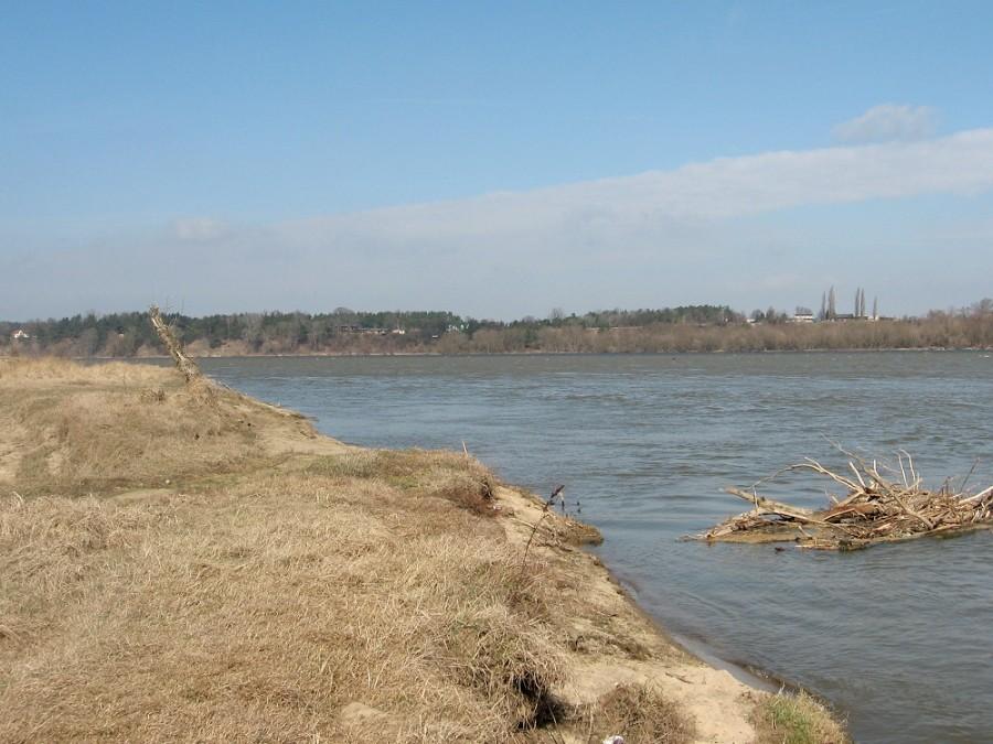 Wisła przy Rezerwacie Wikliny Wiślane