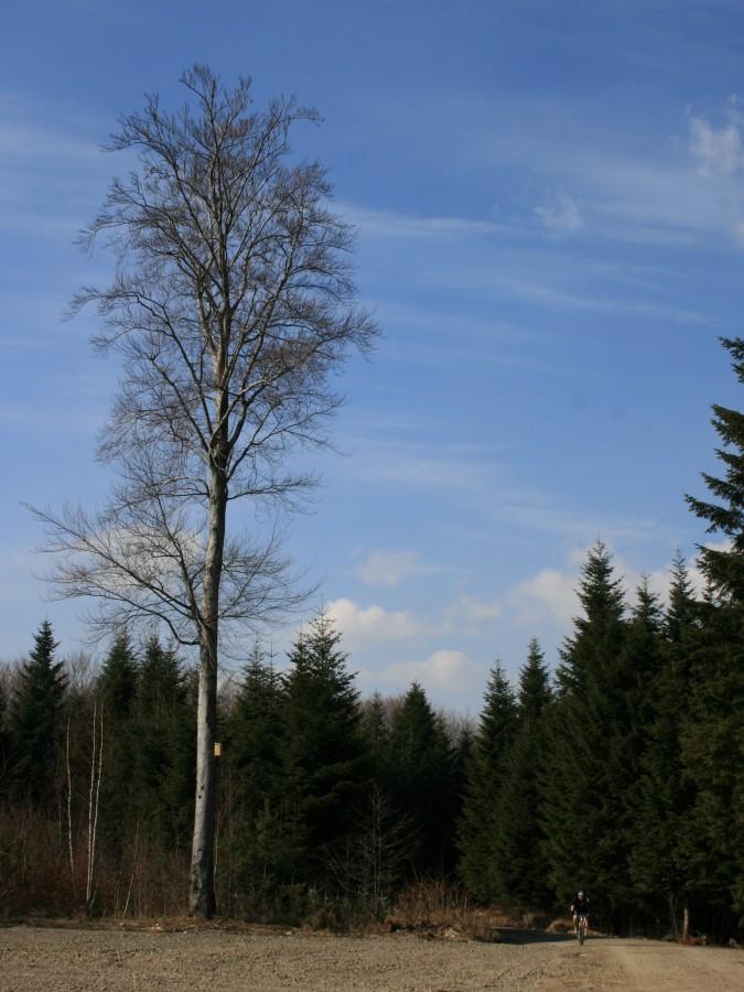 Grochowiczna osiągnięta