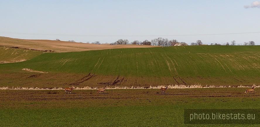 W stronę Godziszewa…