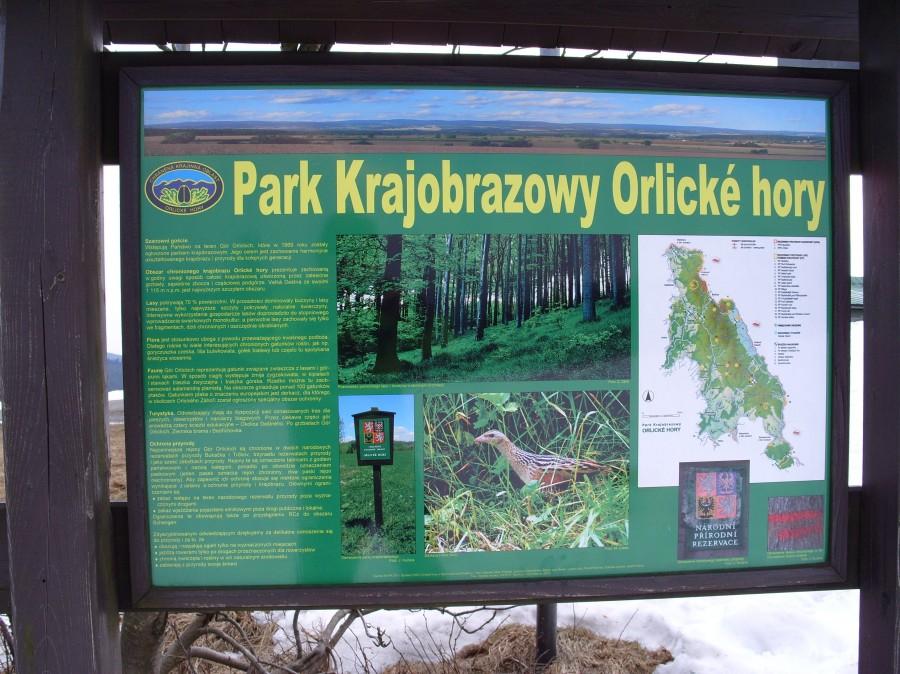 Ja by ktoś chciał zapolować daję opis co można trafić w Orlicach ;).