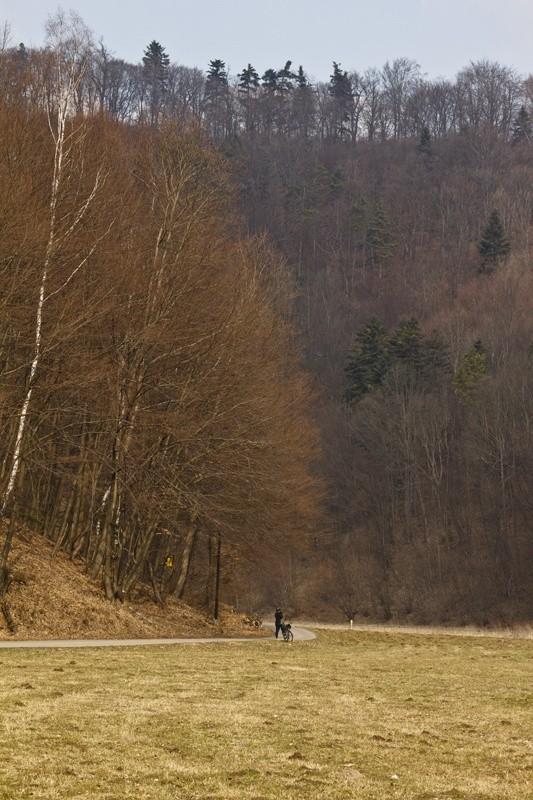 Rudzisko w oddali.