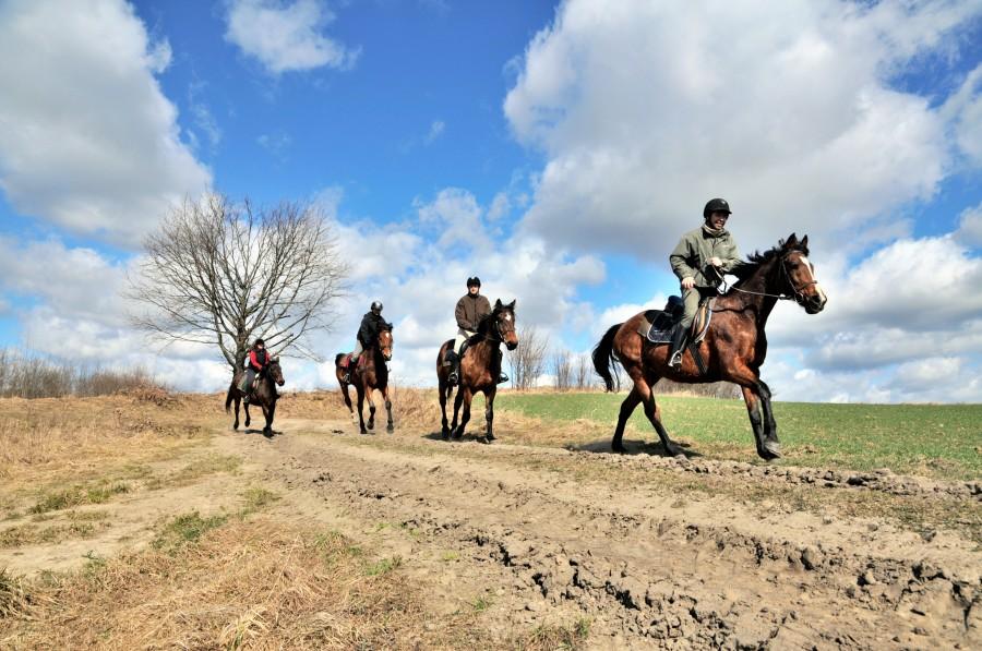 Galop po pajtuńskich polach