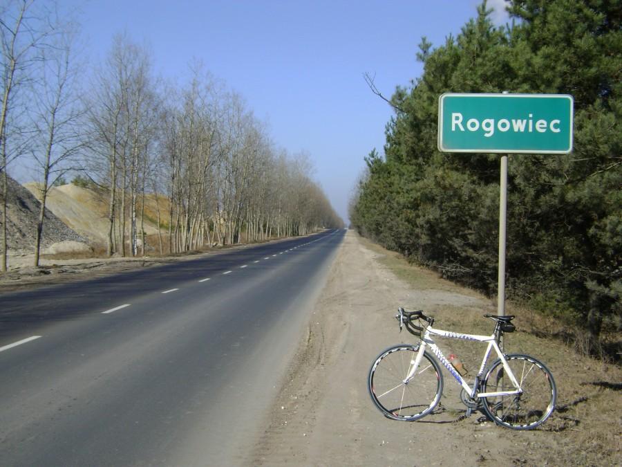 W Rogowcu