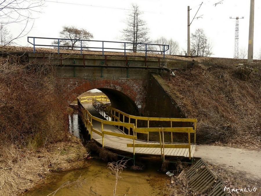 ścieżka nad rzeką