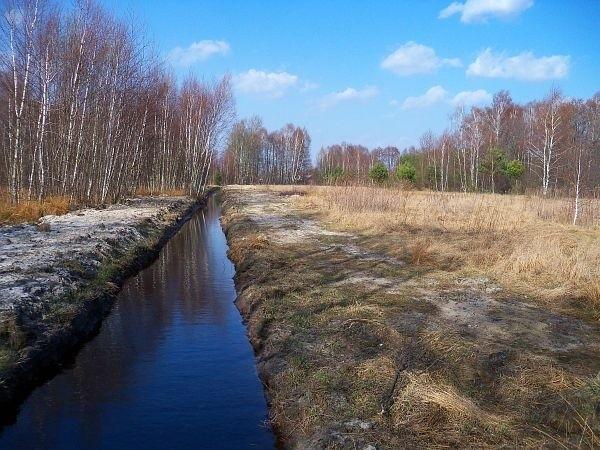 Kanał melioracyjny w Łosiej Wólce, wykopany w zeszłym roku po podtopieniach okolicznych domów