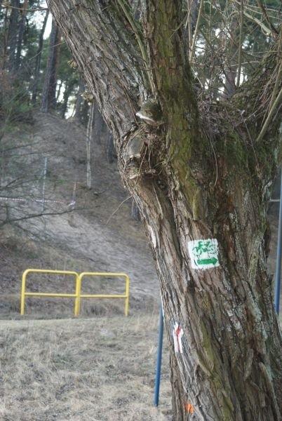 szlakiem zielonym przemierzam dzisiejszy świat