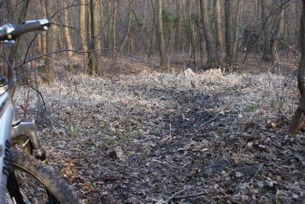 moja stopa i Kitek dotknęły tej ziemi, nigdy więcej. Wracamy.