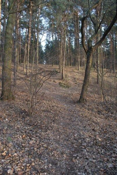 pamiętam, że tutaj się pogubiłam w Mikołajkowym biegu na orientacje w zeszłym roku