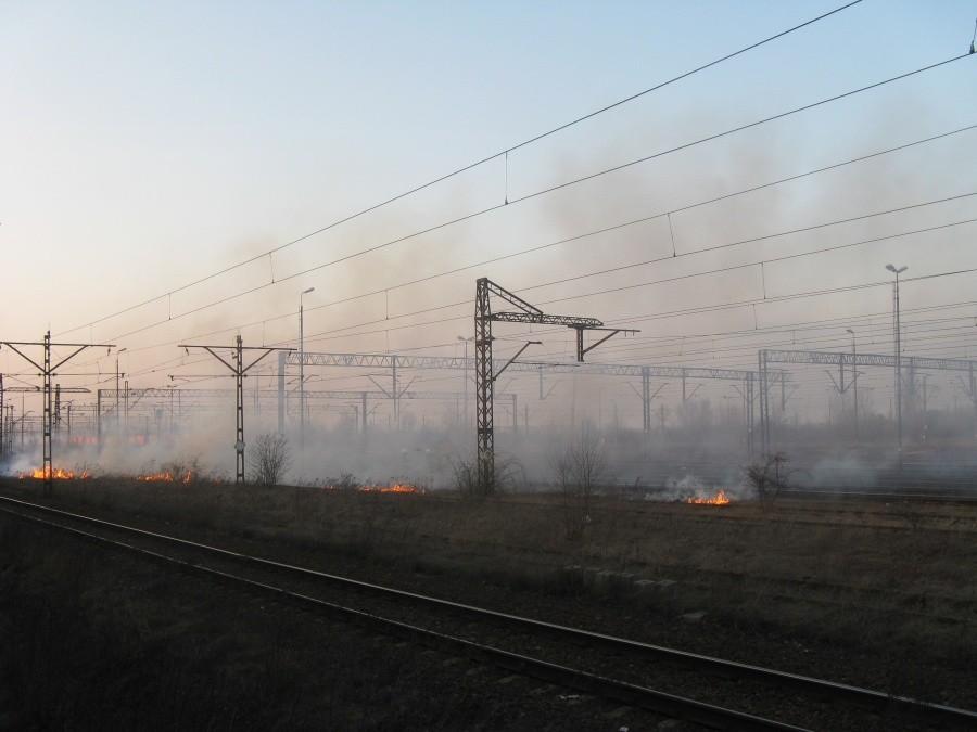 Pożar traw przed Wrocławiem