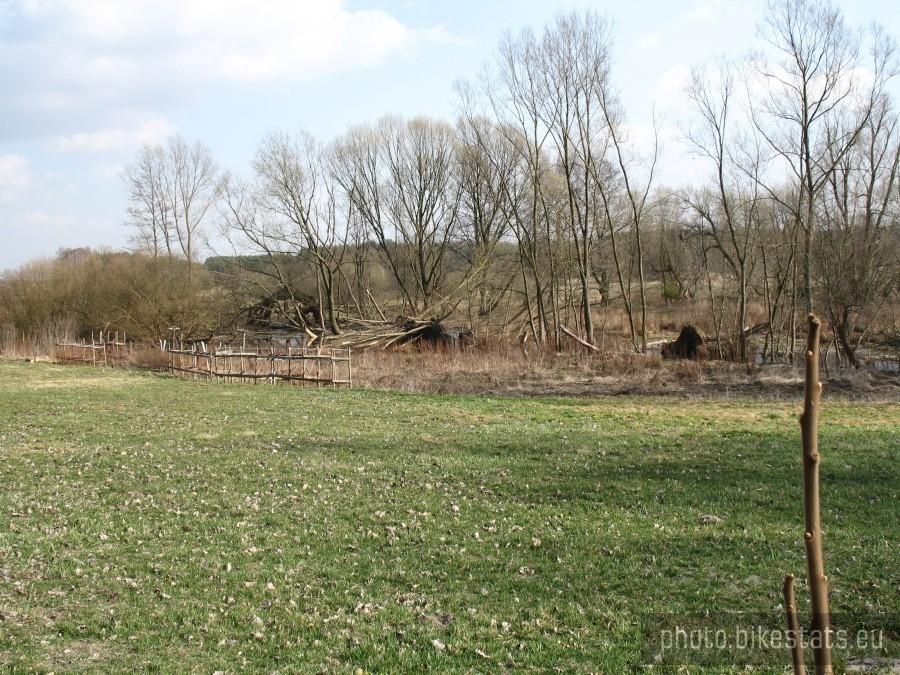 ruszyła wegetacja