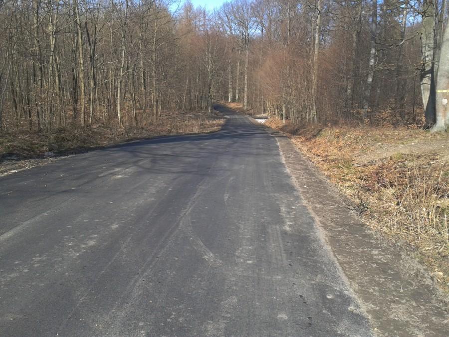 dróżka po remoncie w środku lasu