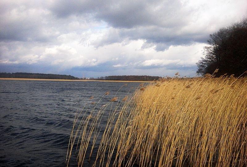 Wietrzny dzień