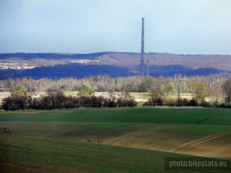 Robiąc to zdjęcie gołym okiem niie widziałem, że na polu jest grupka saren.