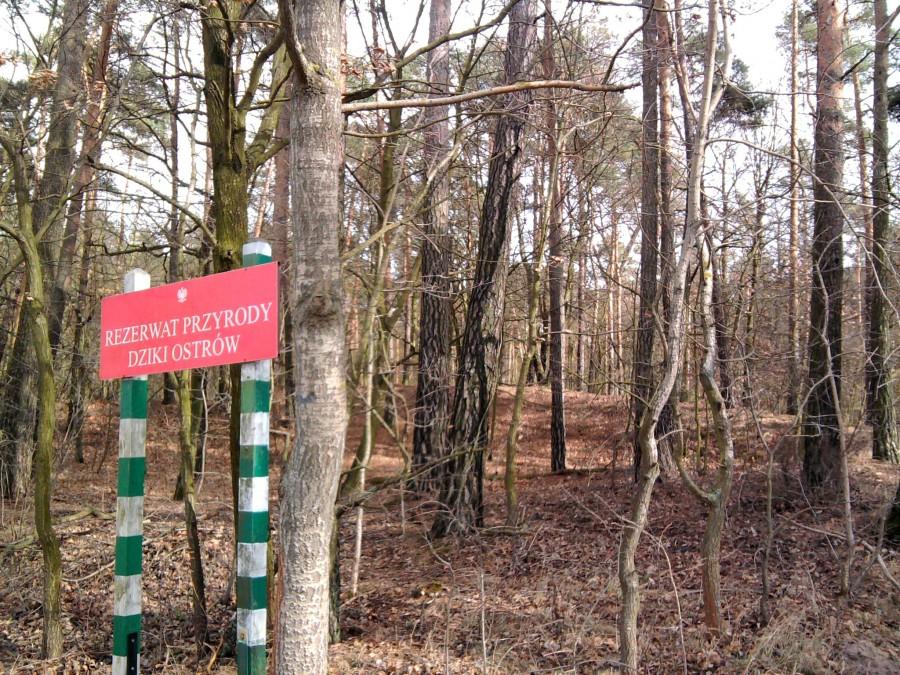Kolejny rezerwat w kujawsko-pomorskim przejechany