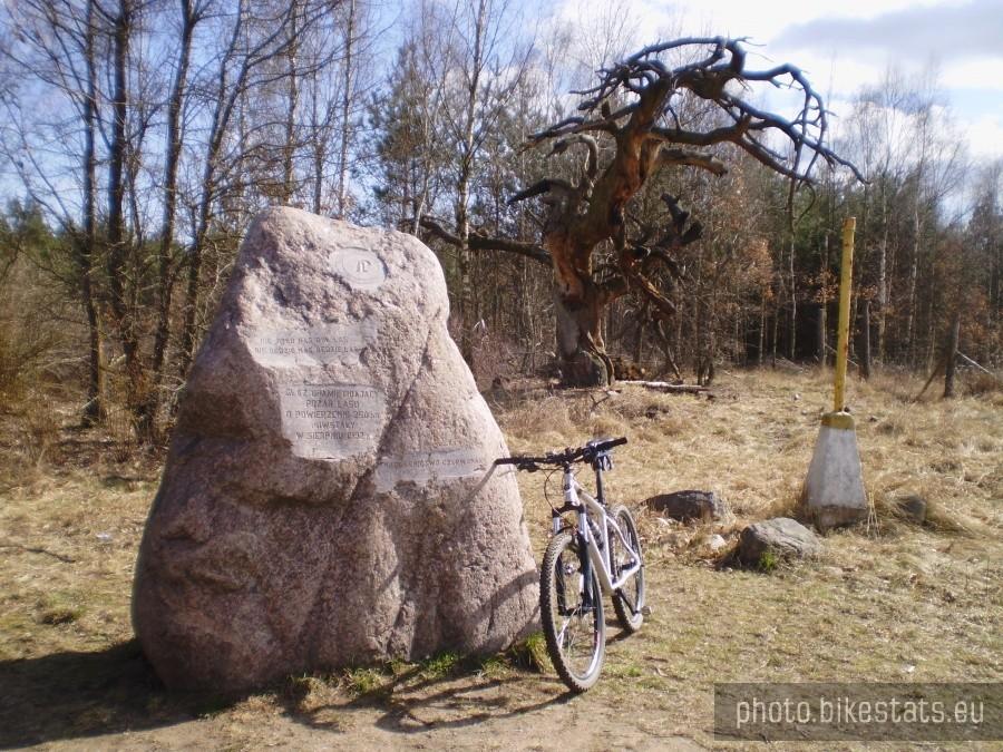 Głaz upamiętniający pożar w Puszczy Zielonka w 1992 r. i drzewo pomnik