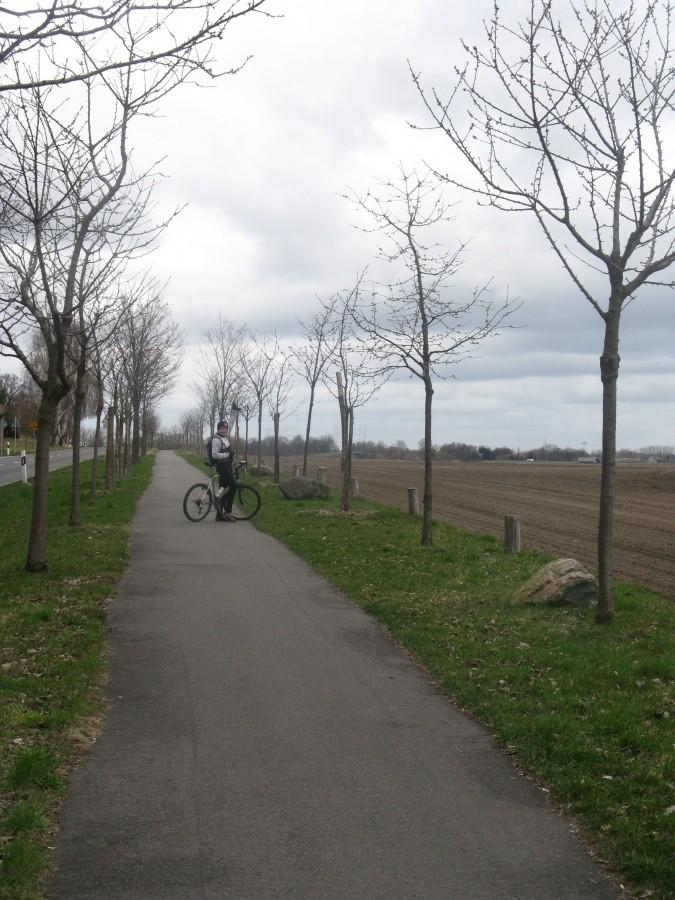 Ścieżka rowerowa w Niemczech