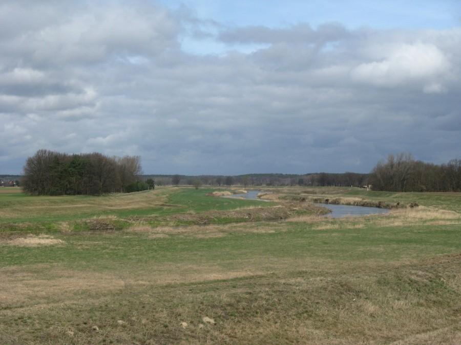Nysa Łużycka