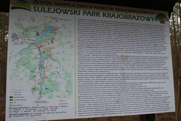 w Sulejowskim Parku Krajobrazowym