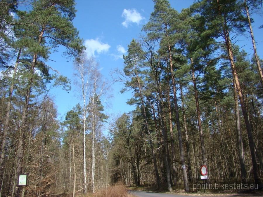 Mikro Naraton Pilchoworunda - prawie lato ...