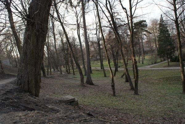 i park się zieleni