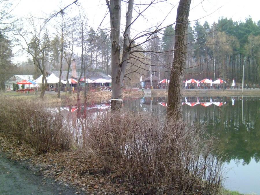 Staw Janina na Giszowcu 2