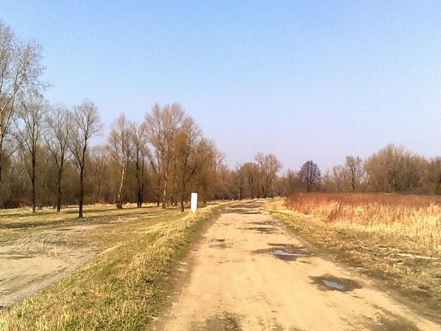Wał nad Odrą