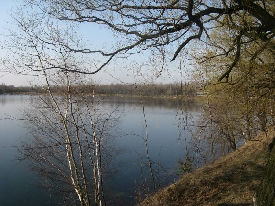 Stawiki Sosnowiec