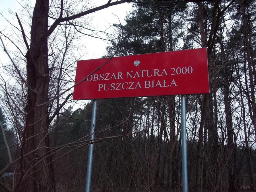 Puszcza Biała