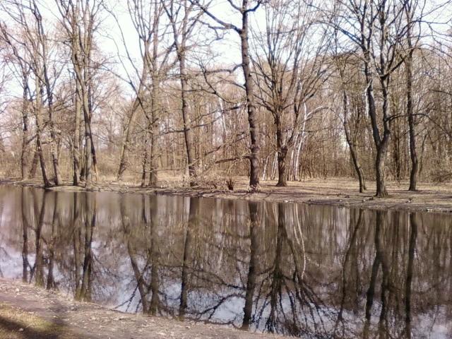 Park 3 Maja