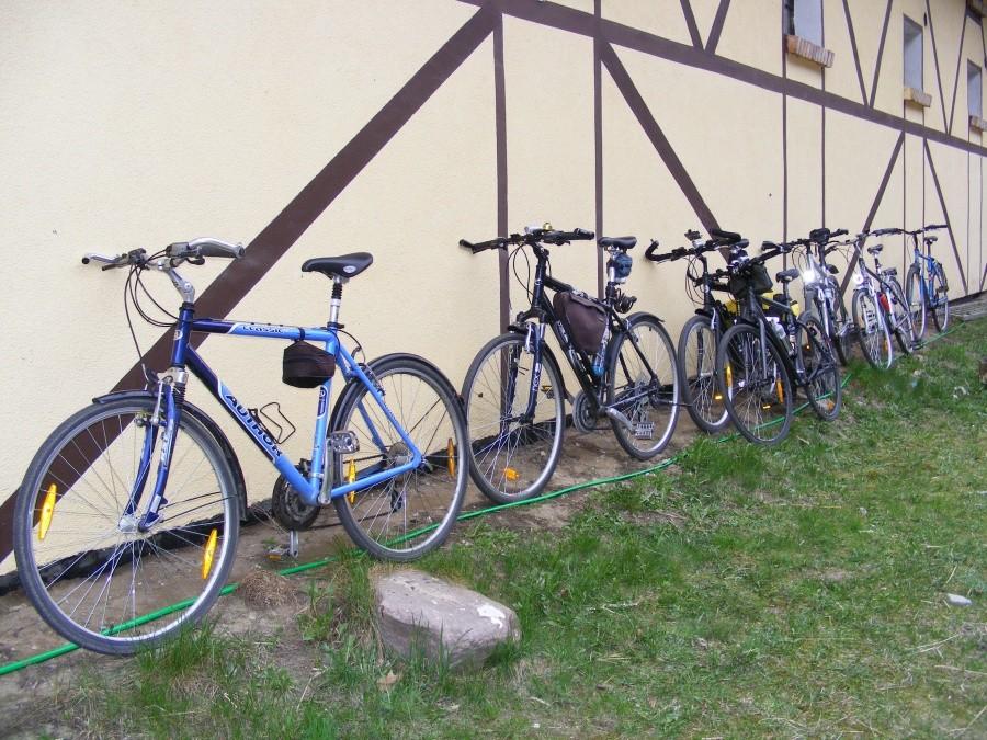Rowerki po stajnią.