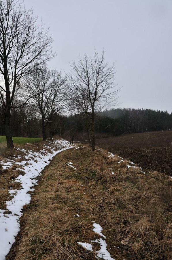 Prószy śnieg koło Pawłowa