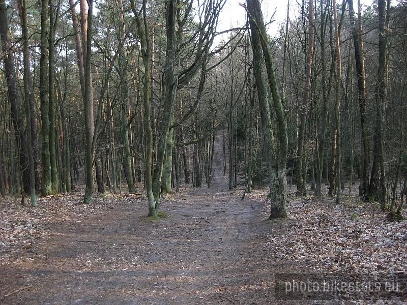 jeden z wielu zjazdów z Dziewiczej Góry