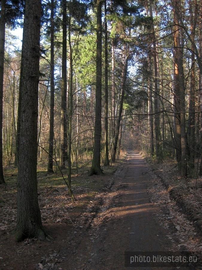 Na żółtym szlaku