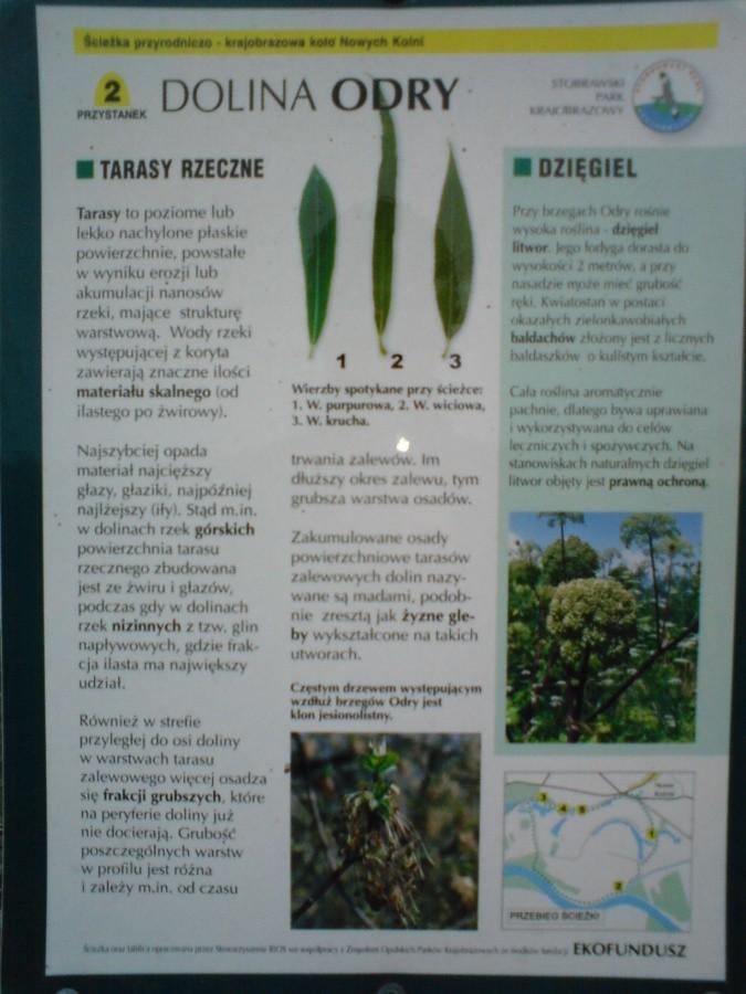 Przystanek 2