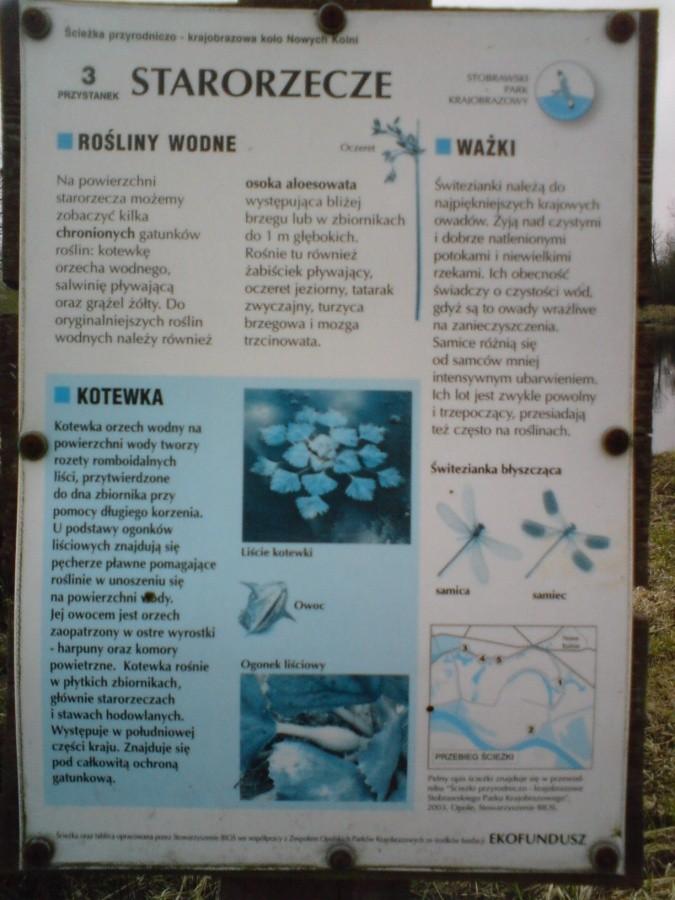 Przystanek 3