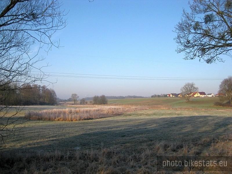 Oszroniała Wierzonka
