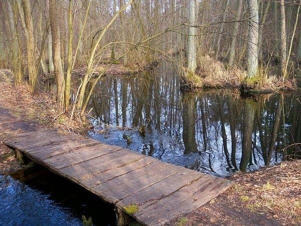 Czarny szlak w okolicy Janówka